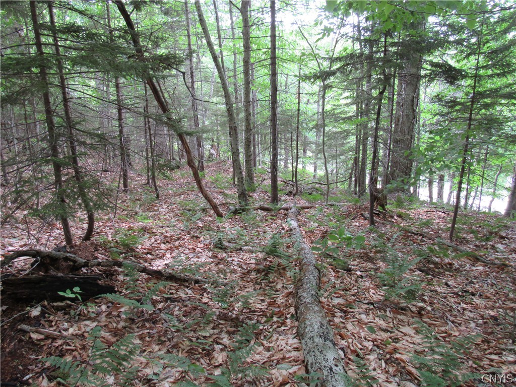 Palisades Road