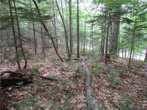 Tiny photo for Palisades Road, Webb, NY 13420 (MLS # S1692214)