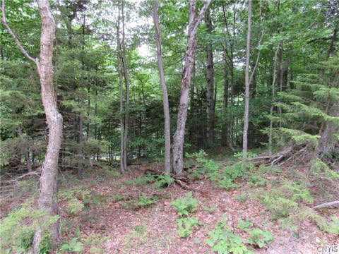 Tiny photo for Palisades Road, Webb, NY 13420 (MLS # S1692214)