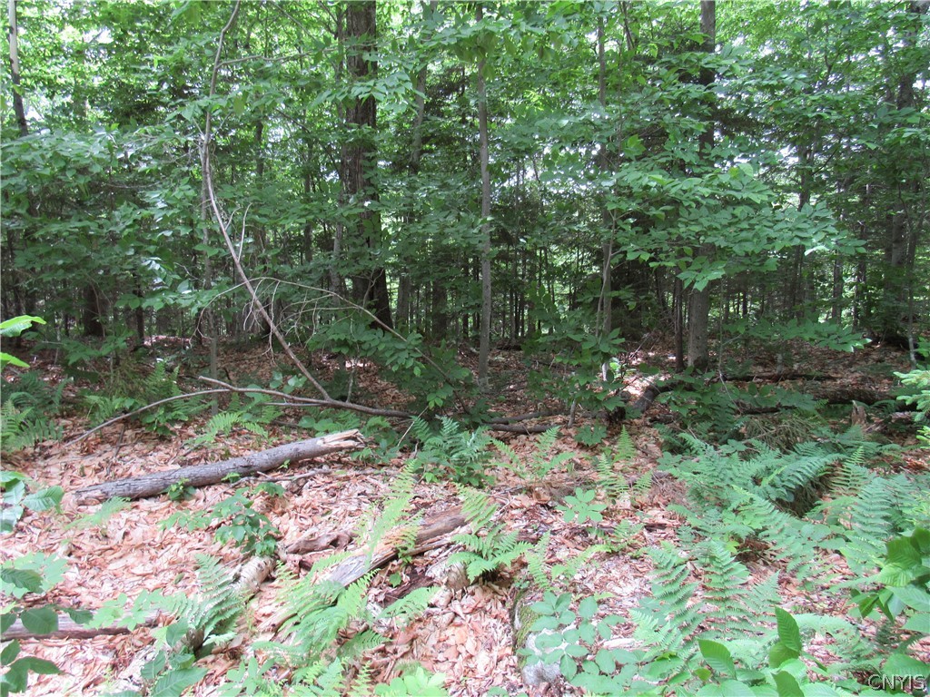 Palisades Road