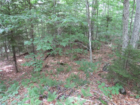 Tiny photo for Palisades Road, Webb, NY 13420 (MLS # S1692214)