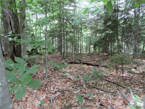 Photo of Palisades Road, Webb, NY 13420 (MLS # S1692214)