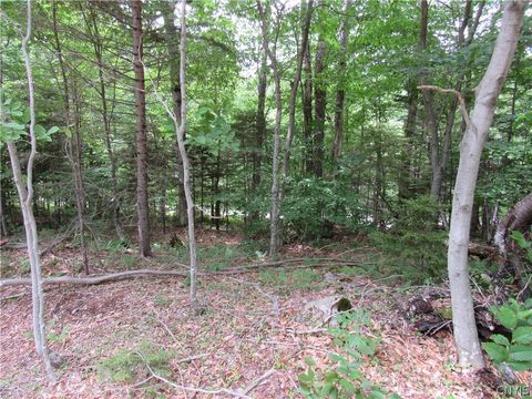 Tiny photo for Palisades Road, Webb, NY 13420 (MLS # S1692214)