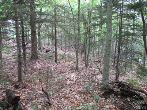 Tiny photo for Palisades Road, Webb, NY 13420 (MLS # S1692214)