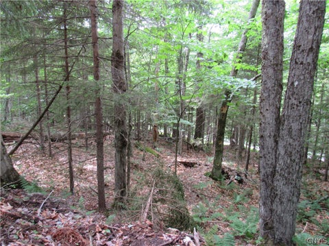 Tiny photo for Palisades Road, Webb, NY 13420 (MLS # S1692214)