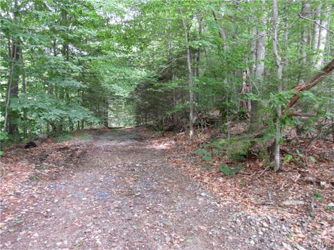 Tiny photo for Palisades Road, Webb, NY 13420 (MLS # S1692214)