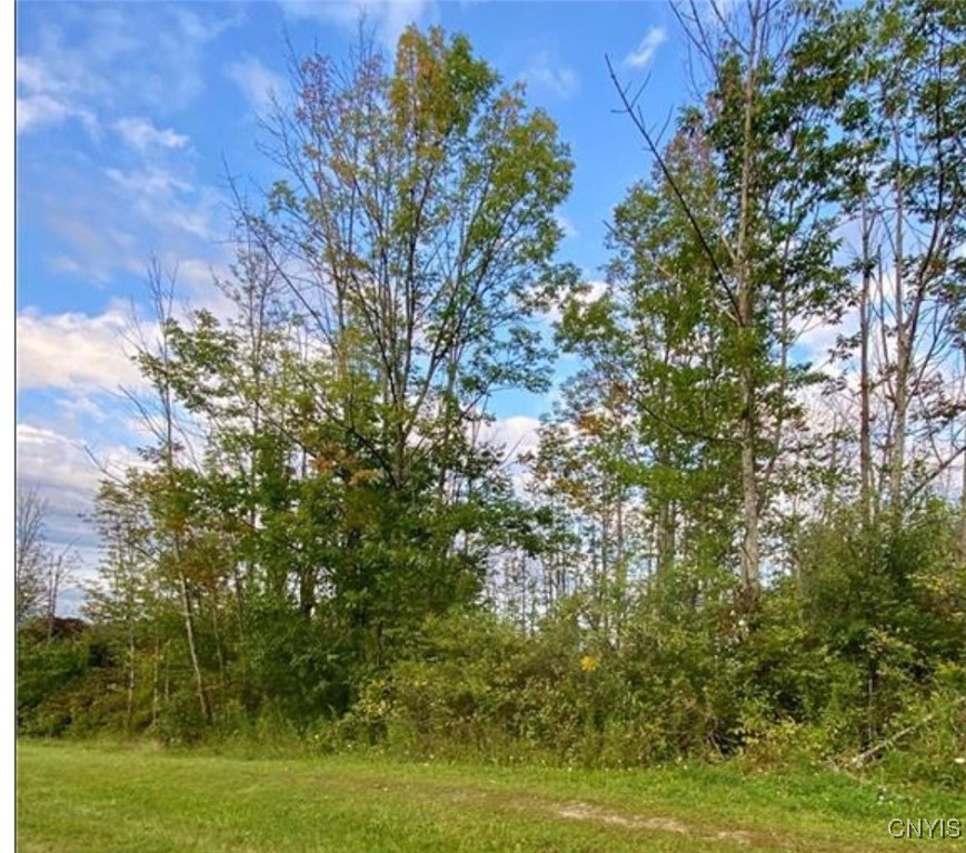 00 Trenton Road