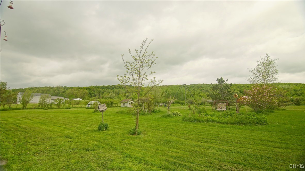 161 Butler Road, Newport, New York image 39