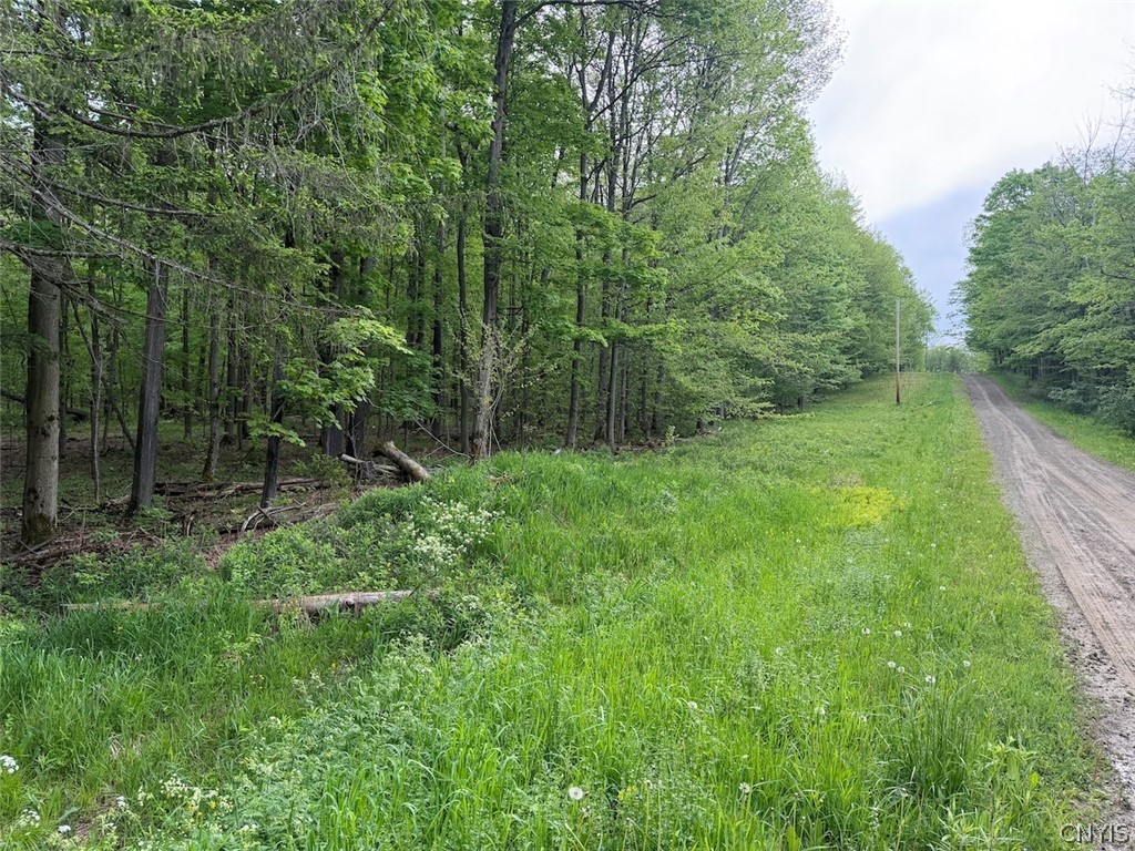 Slew Road