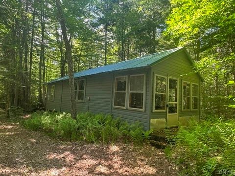 Vacant Land For Sale - 895 Uncas Road<br/> Long Lake, NY 12847