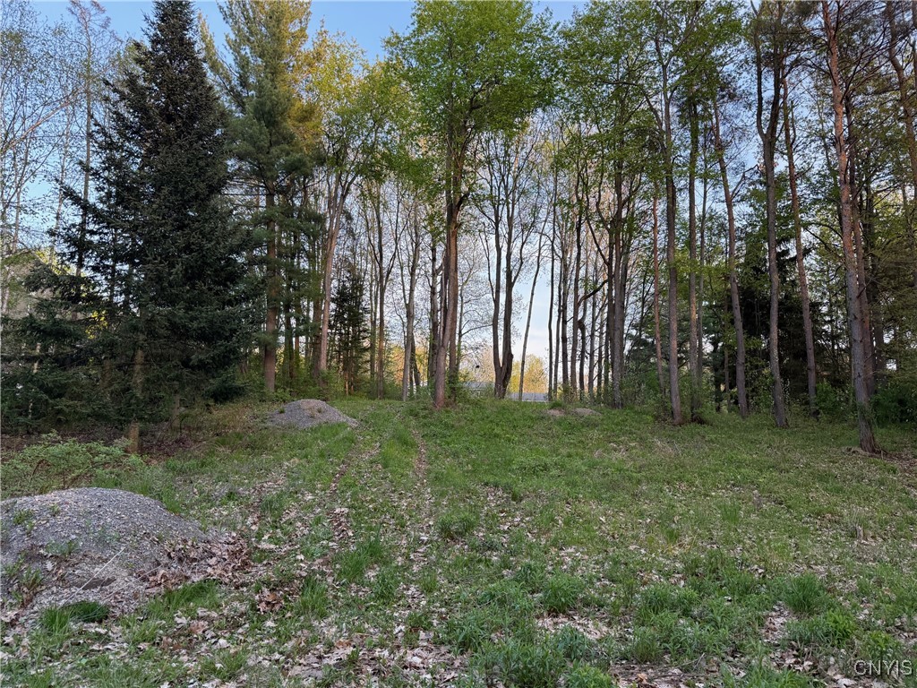 15189 Valley Drive, Clayton, New York image 5