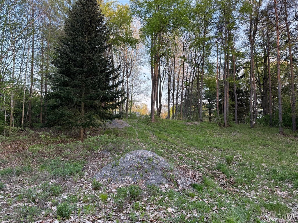 15189 Valley Drive, Clayton, New York image 6