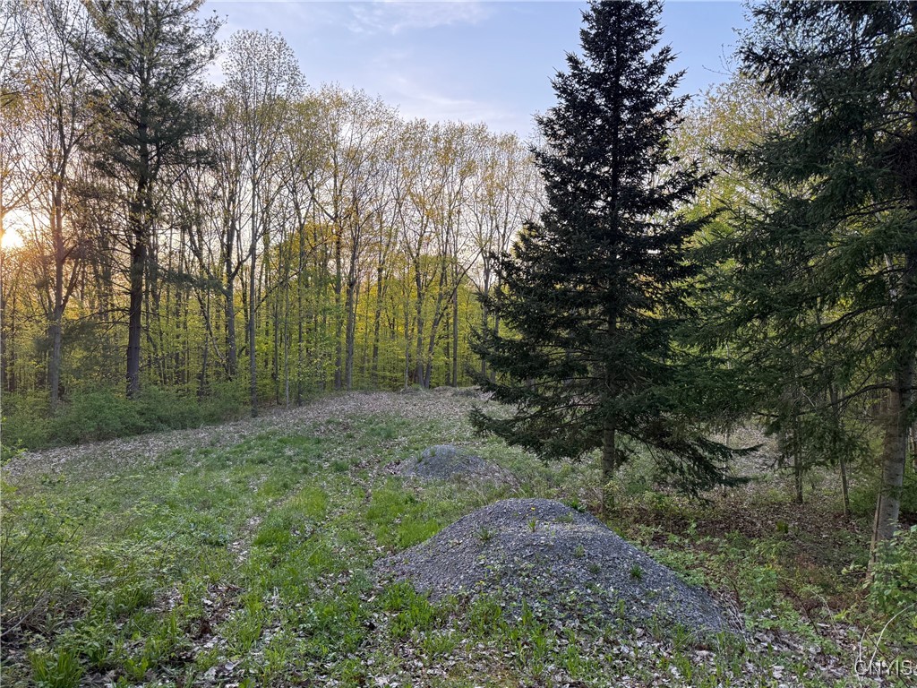 15189 Valley Drive, Clayton, New York image 9