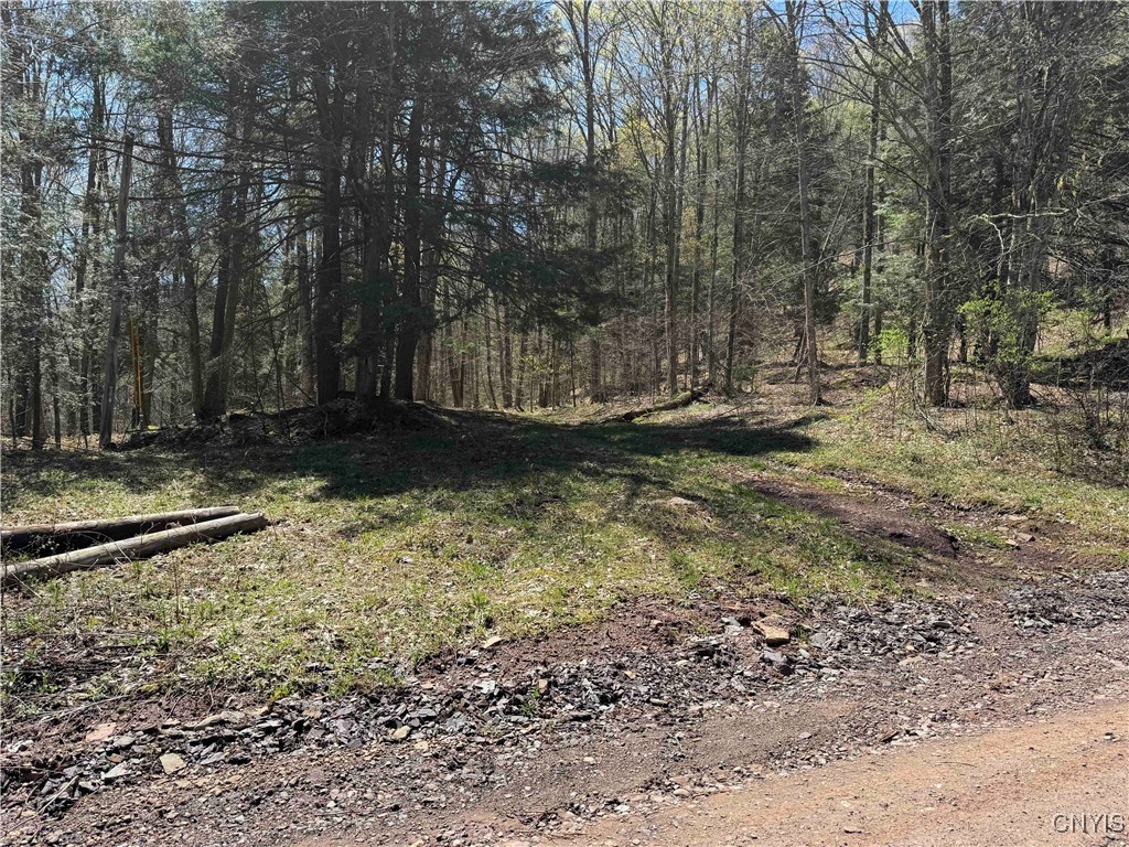 Little Loop Road, Portville, New York image 7