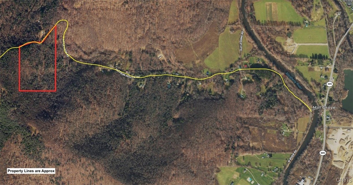 Little Loop Road, Portville, New York image 3