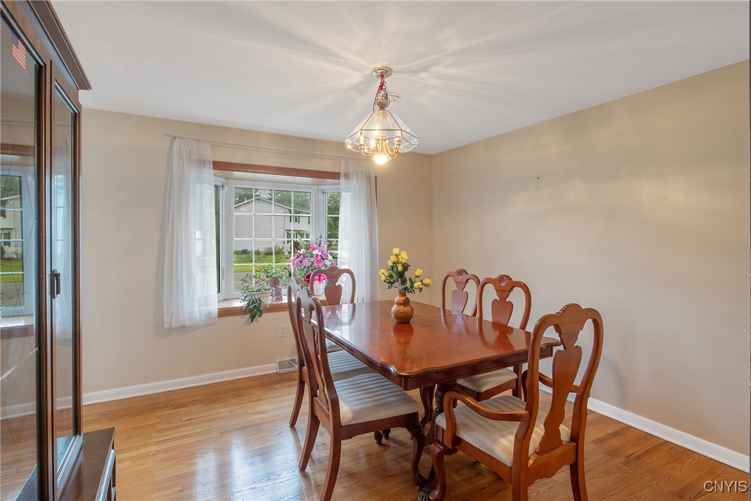 111 Meadow River Drive, Clay, New York image 9