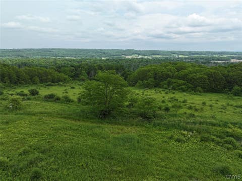 Vacant Land For Sale - Dye Road<br/> Dayton, NY 14138