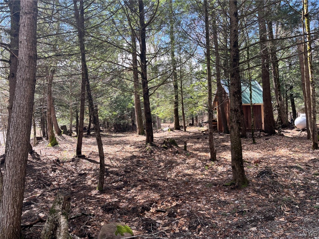 9589 Hopkins Road