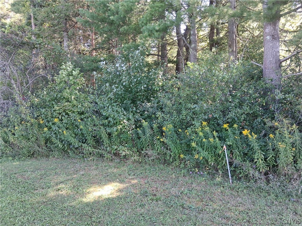 Lot 2 Kehoe Road