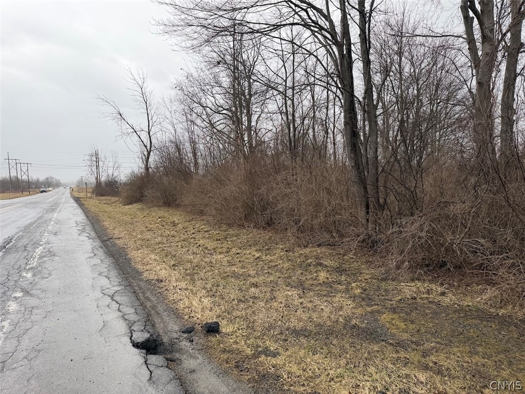 Lewiston Road