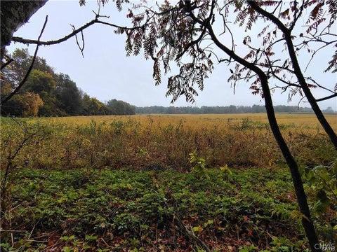 Tiny photo for 6068 Shed Road, Westmoreland, NY 13440 (MLS # S1693323)