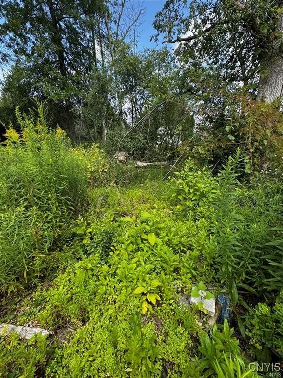 6393 Fremont Road, Manlius, New York image 2