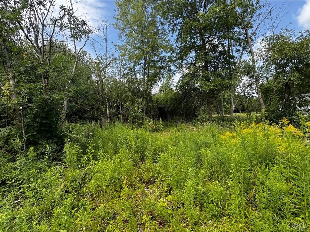 6393 Fremont Road, Manlius, New York image 5