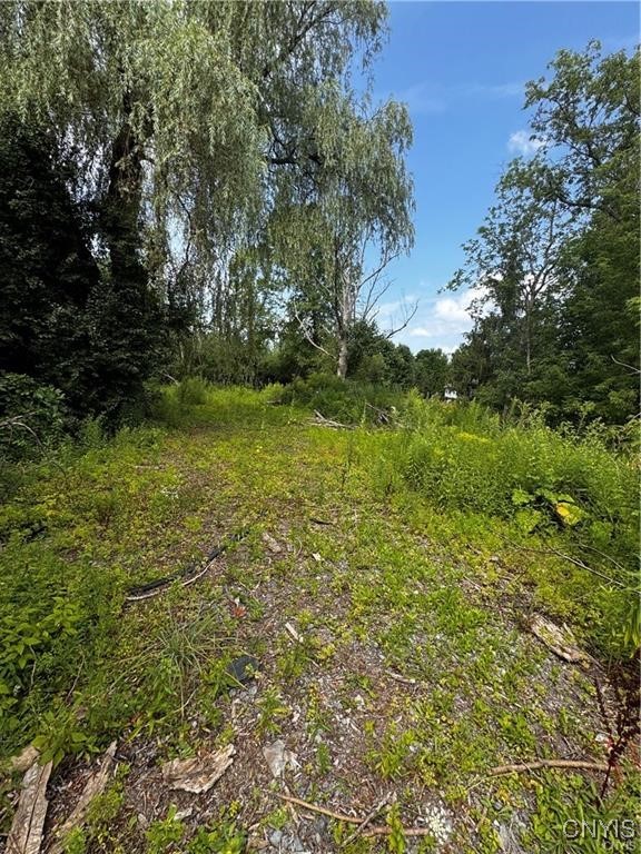 6393 Fremont Road, Manlius, New York image 7