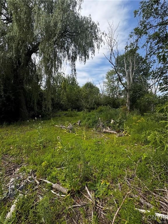 6393 Fremont Road, Manlius, New York image 9