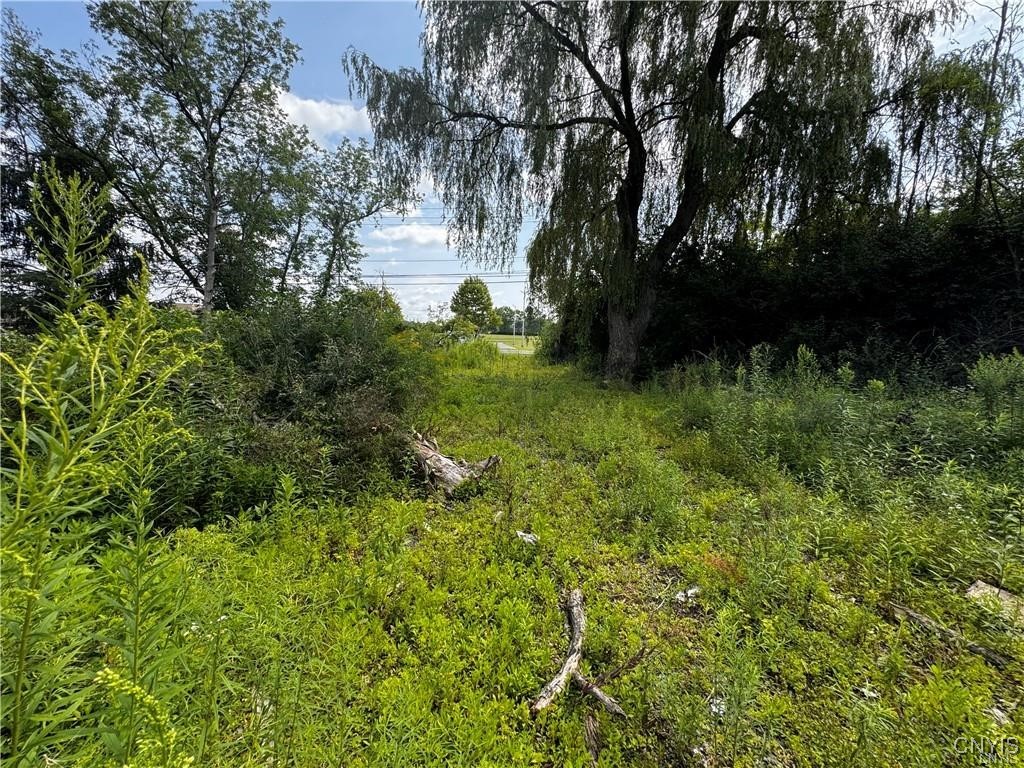 6393 Fremont Road, Manlius, New York image 4