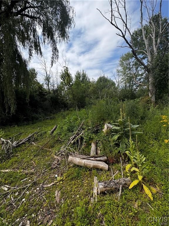 6393 Fremont Road, Manlius, New York image 8