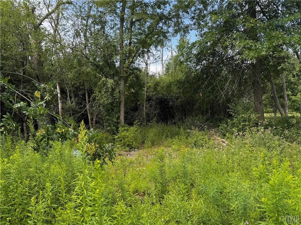 6393 Fremont Road, Manlius, New York image 6