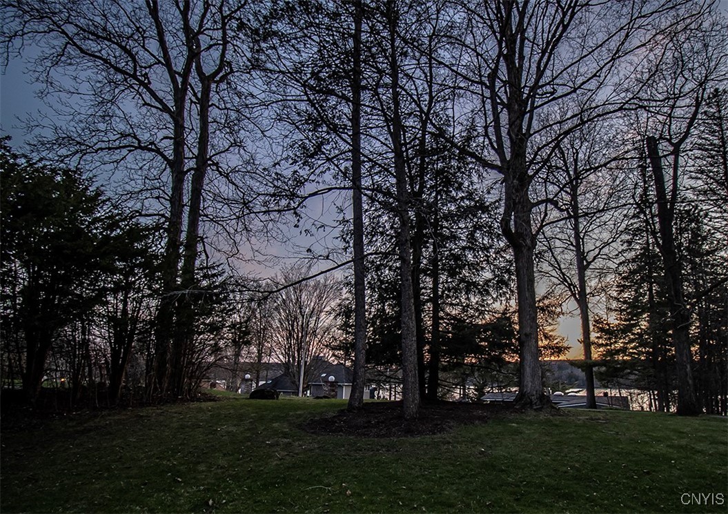 4802 Ormonde Drive, Cazenovia, New York image 37