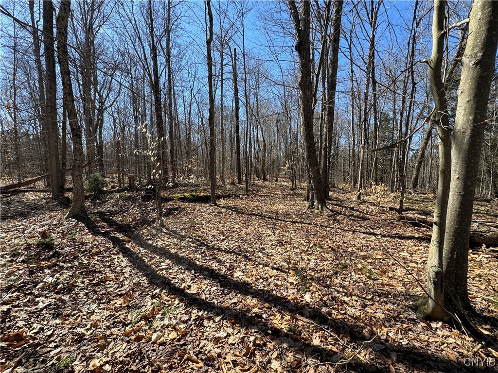249 Tomahawk, Forestport, New York image 14