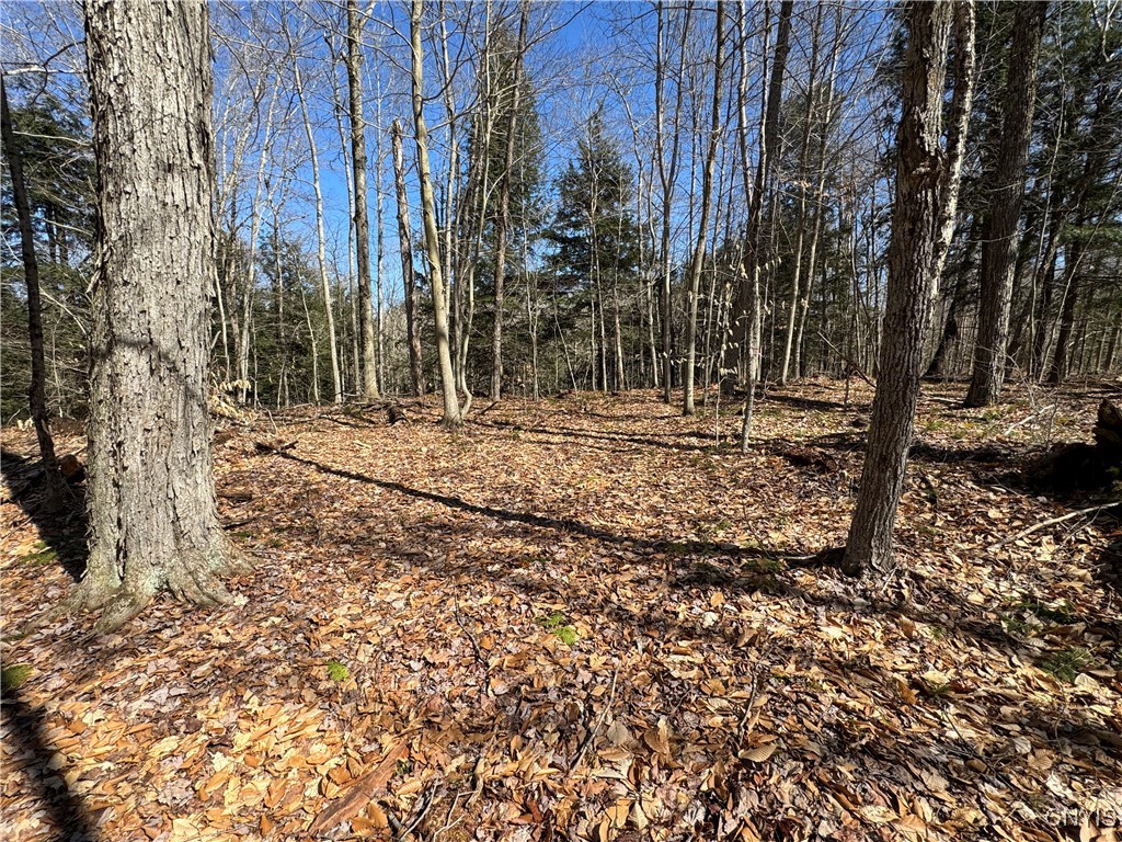 249 Tomahawk, Forestport, New York image 15