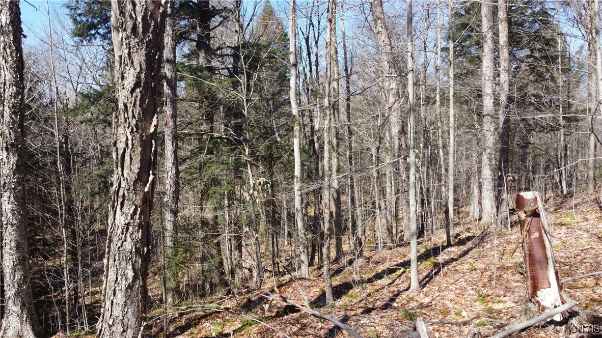 249 Tomahawk, Forestport, New York image 9