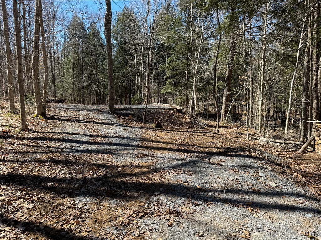 249 Tomahawk, Forestport, New York image 21