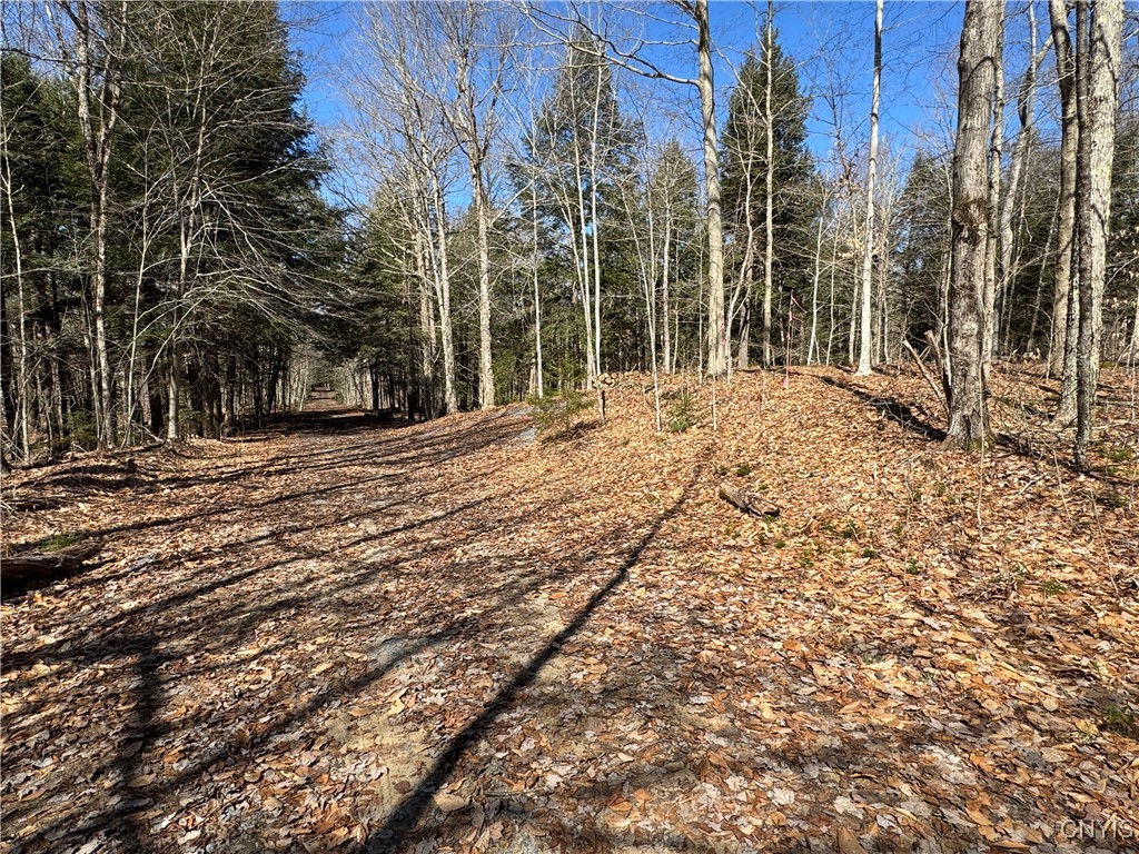 249 Tomahawk, Forestport, New York image 26