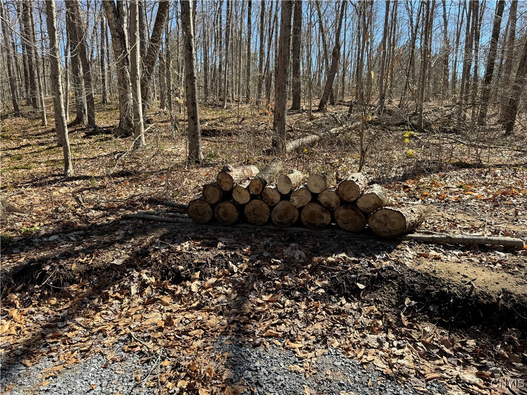 249 Tomahawk, Forestport, New York image 19