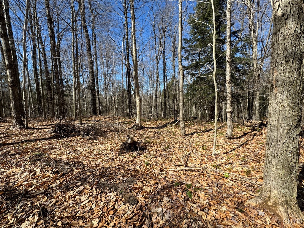 249 Tomahawk, Forestport, New York image 16
