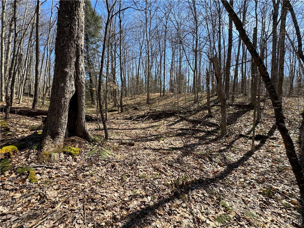 249 Tomahawk, Forestport, New York image 25