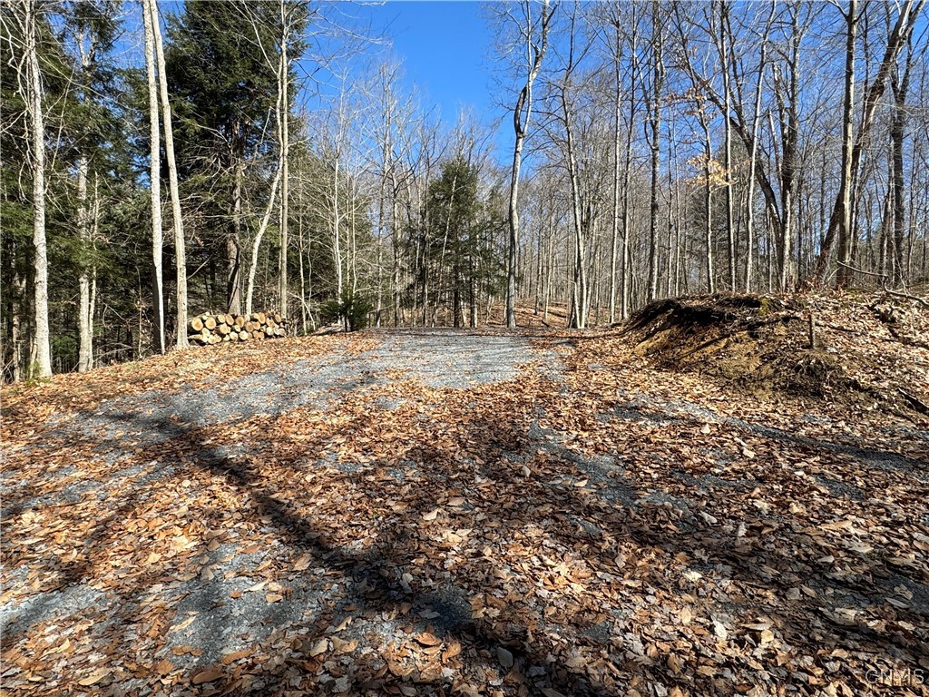 249 Tomahawk, Forestport, New York image 2