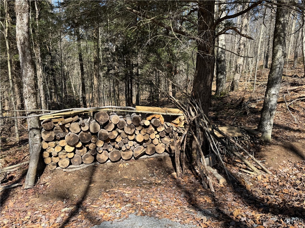 249 Tomahawk, Forestport, New York image 20