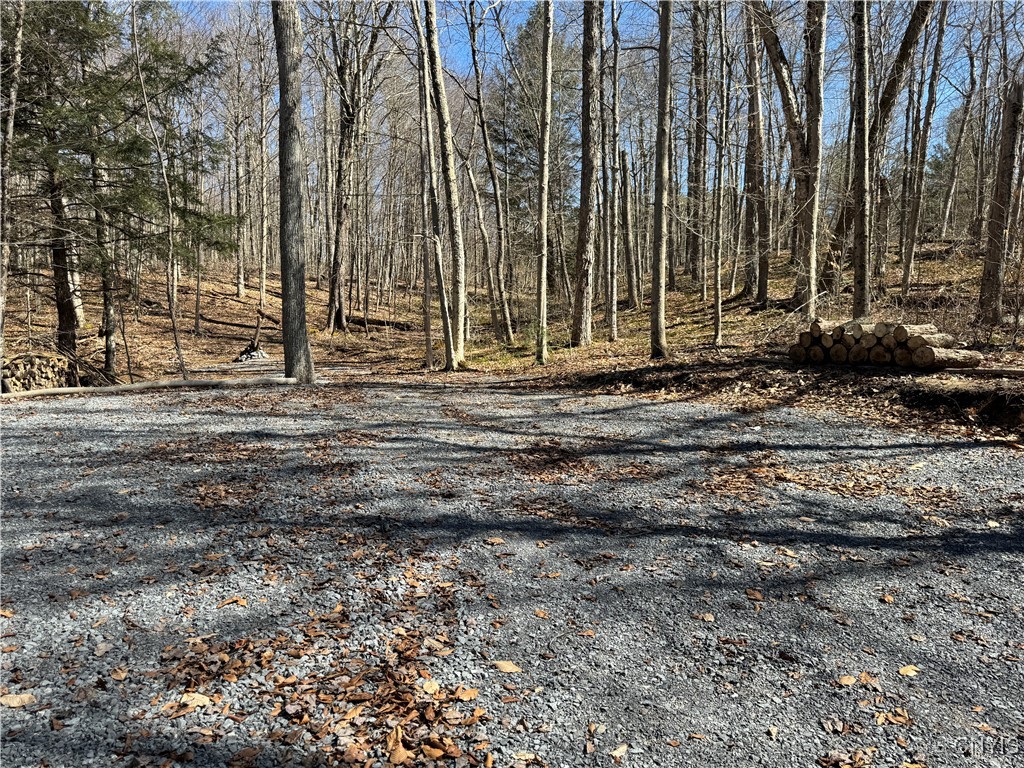 249 Tomahawk, Forestport, New York image 4