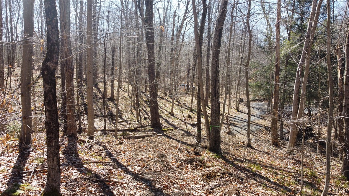 249 Tomahawk, Forestport, New York image 7