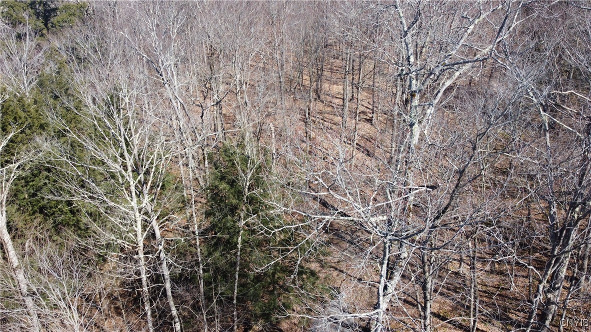 249 Tomahawk, Forestport, New York image 17