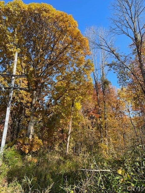 Vacant Land For Sale - W 11th Street<br/> Fulton, NY 13069