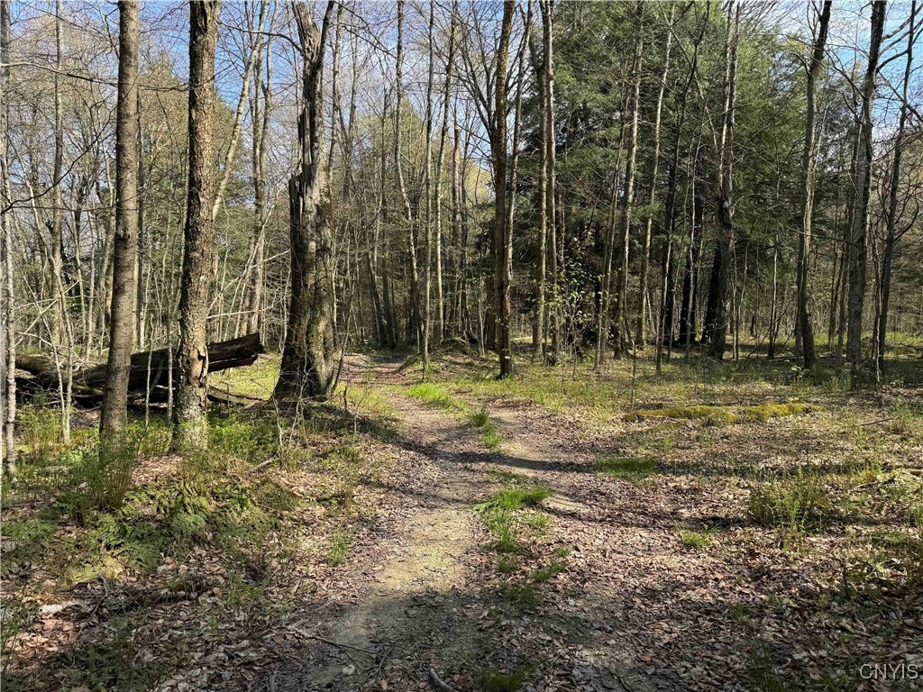 1110 Little Loop Road, Portville, New York image 42
