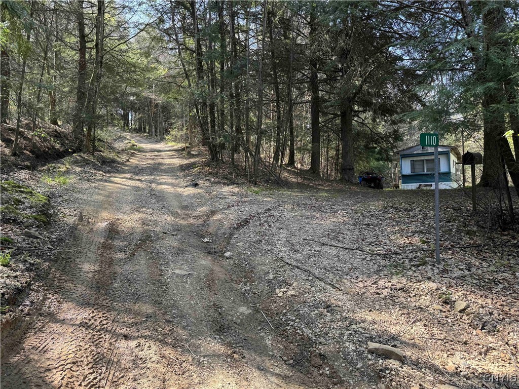 1110 Little Loop Road, Portville, New York image 30