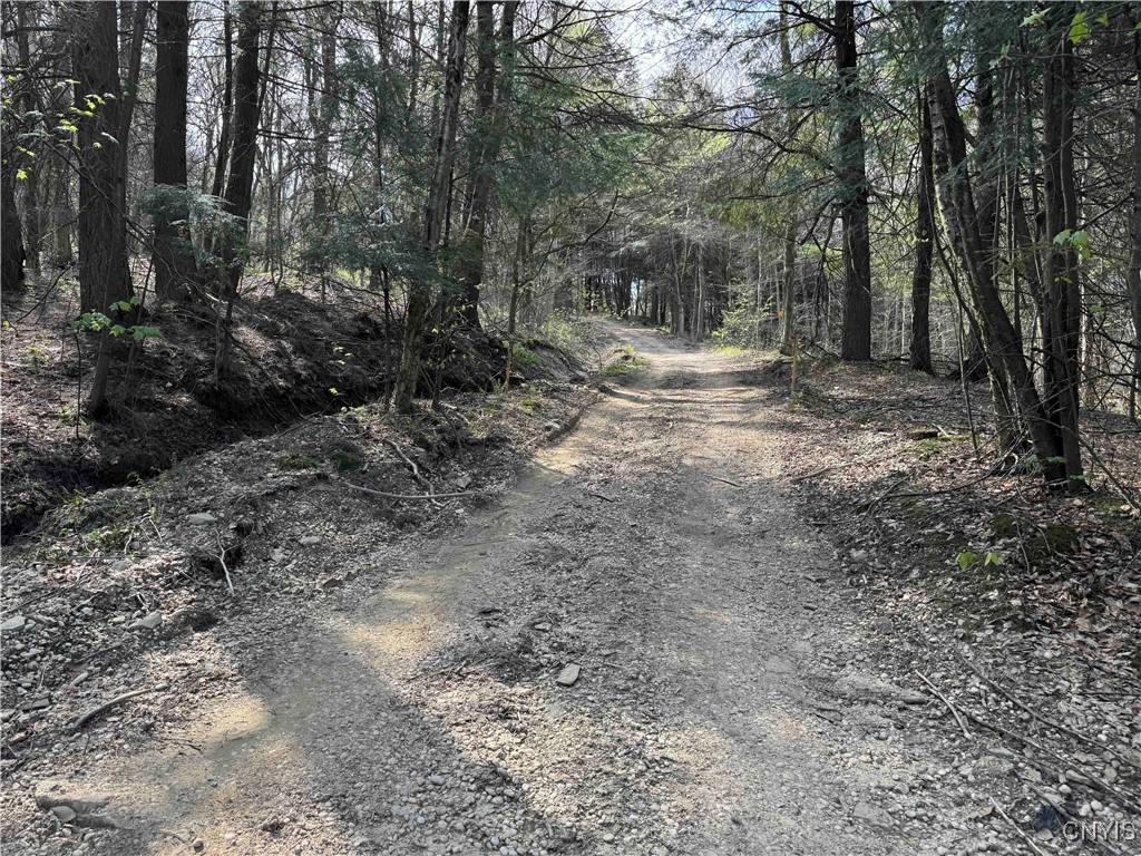 1110 Little Loop Road, Portville, New York image 41